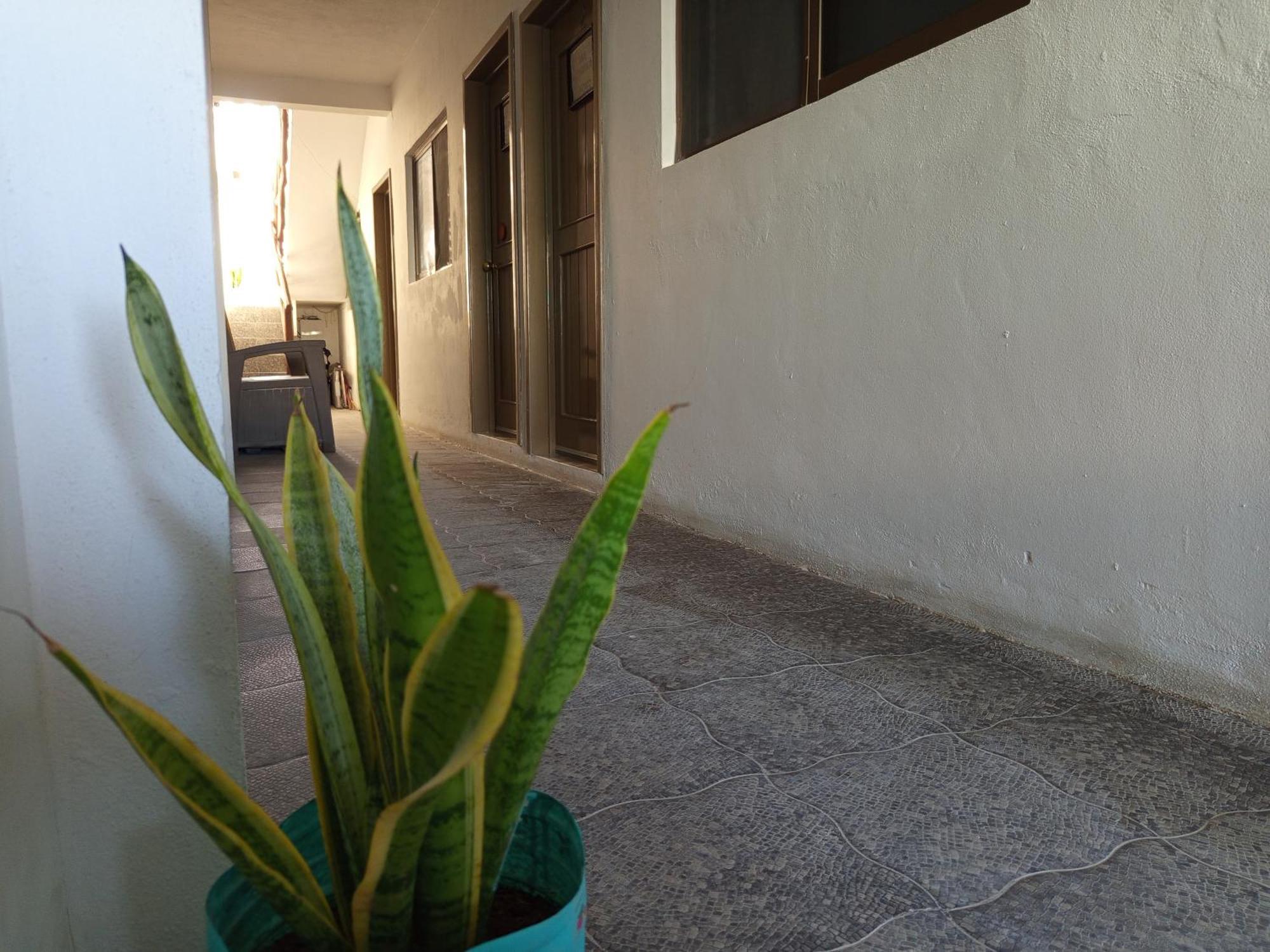 Mi Habitat Holbox-Maravilla Natural Exterior foto